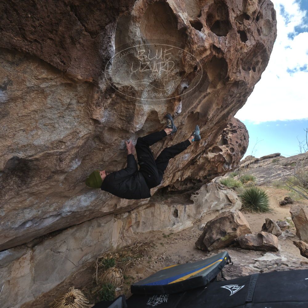 

Filename: SRM_20260307_1008360.jpg
Aperture: f/5.6
Shutter Speed: 1/500
Body: Canon EOS R6
Lens: Canon EF 16-35mm f/2.8 L