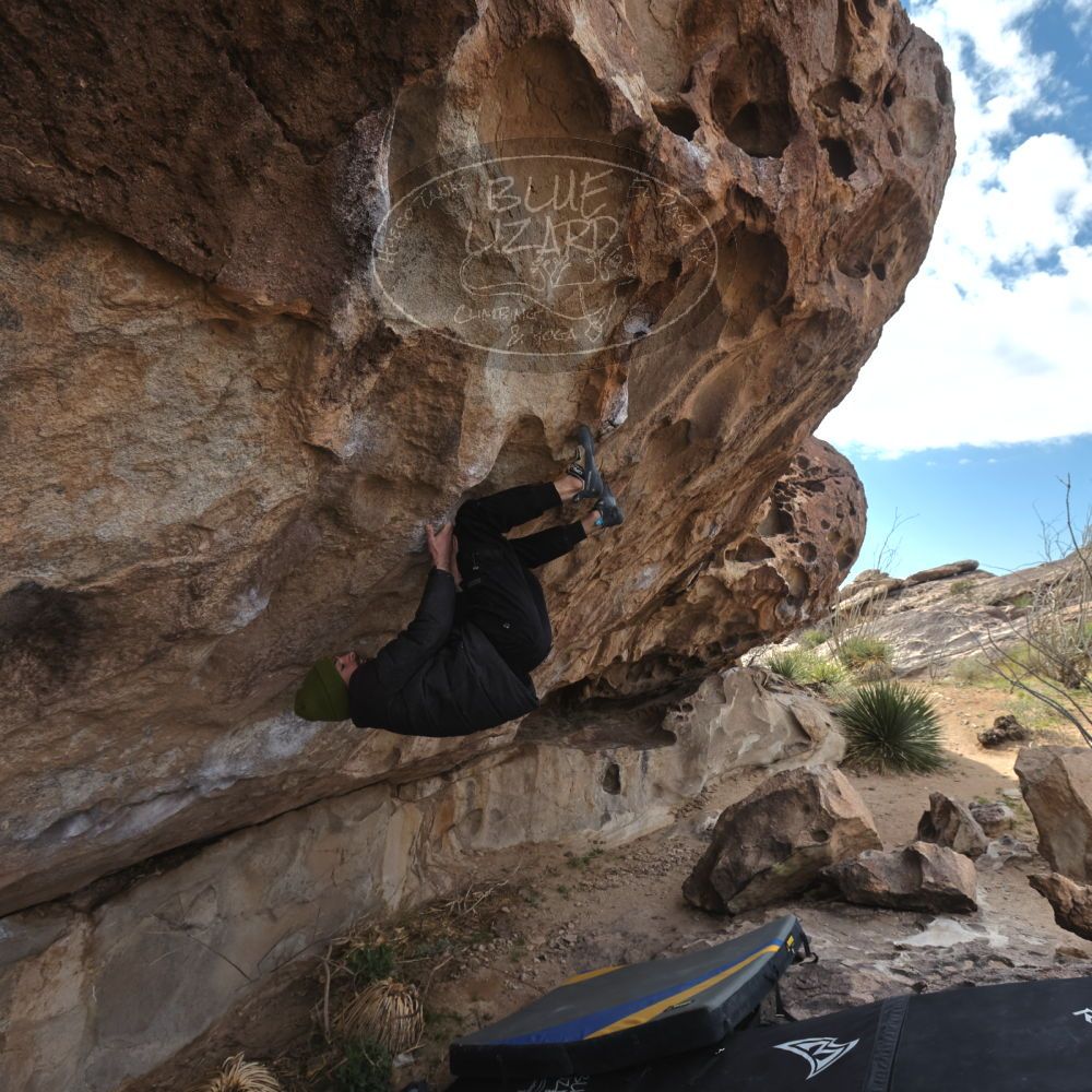 

Filename: SRM_20260307_1008450.jpg
Aperture: f/5.6
Shutter Speed: 1/500
Body: Canon EOS R6
Lens: Canon EF 16-35mm f/2.8 L