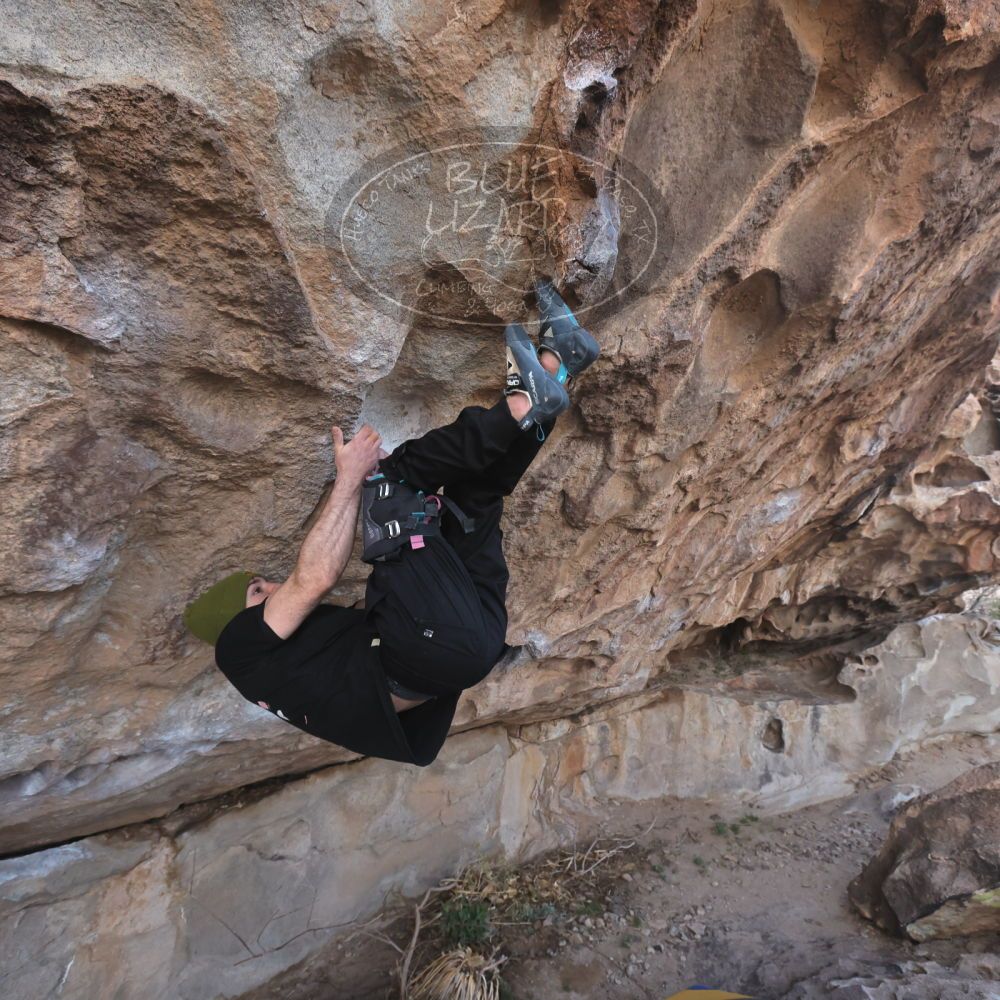 

Filename: SRM_20260307_1018320.jpg
Aperture: f/5.6
Shutter Speed: 1/500
Body: Canon EOS R6
Lens: Canon EF 16-35mm f/2.8 L