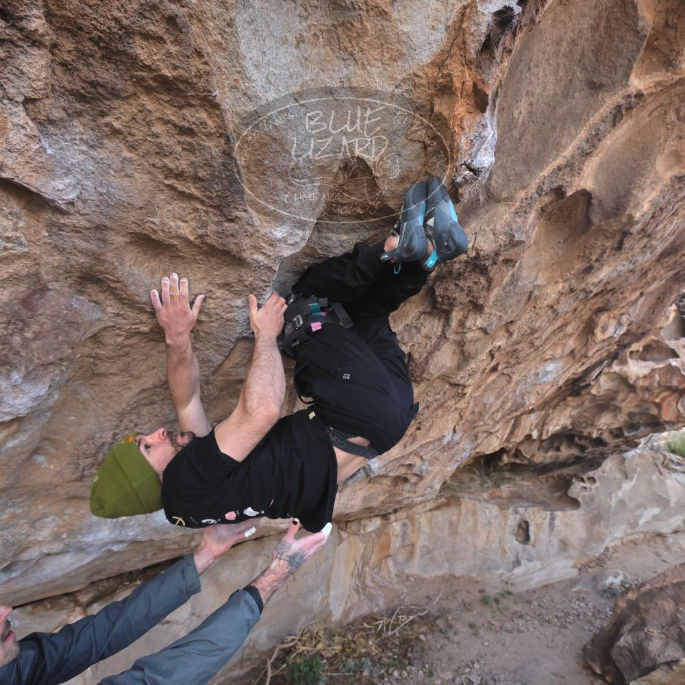 

Filename: SRM_20260307_1018350.jpg
Aperture: f/5.6
Shutter Speed: 1/500
Body: Canon EOS R6
Lens: Canon EF 16-35mm f/2.8 L