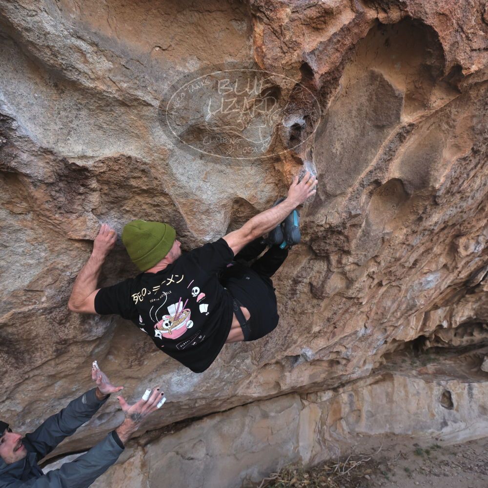 

Filename: SRM_20260307_1018430.jpg
Aperture: f/5.6
Shutter Speed: 1/500
Body: Canon EOS R6
Lens: Canon EF 16-35mm f/2.8 L