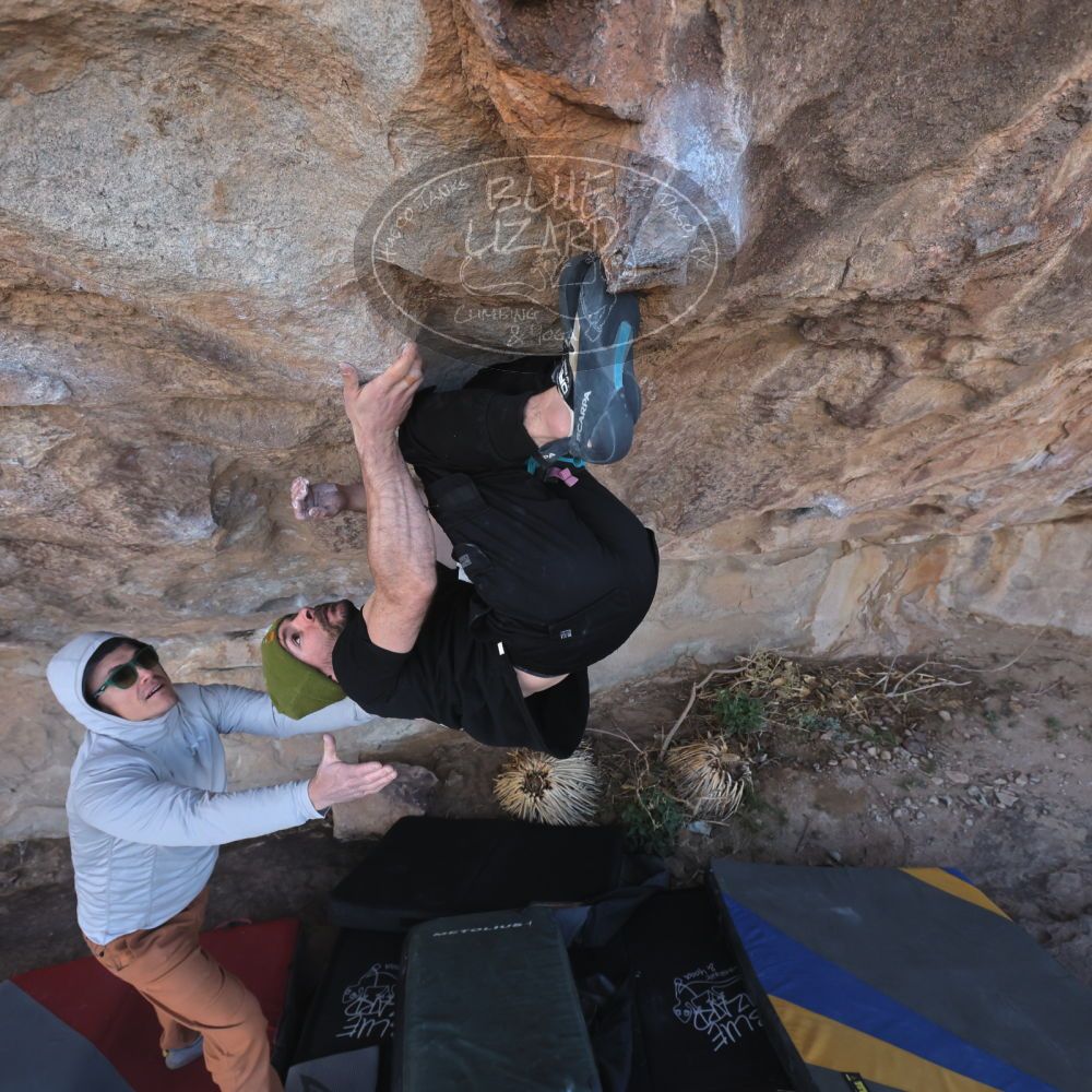 

Filename: SRM_20260307_1024000.jpg
Aperture: f/5.6
Shutter Speed: 1/500
Body: Canon EOS R6
Lens: Canon EF 16-35mm f/2.8 L