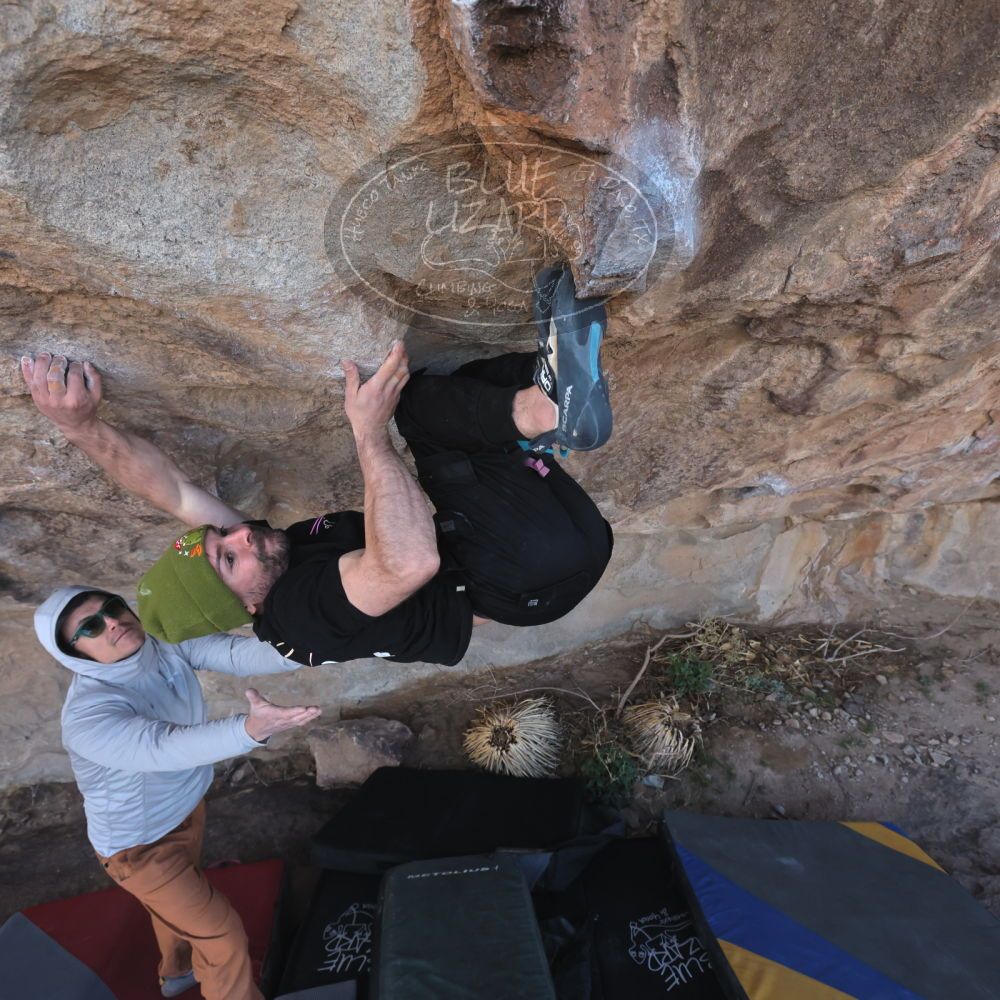 

Filename: SRM_20260307_1024010.jpg
Aperture: f/5.6
Shutter Speed: 1/500
Body: Canon EOS R6
Lens: Canon EF 16-35mm f/2.8 L