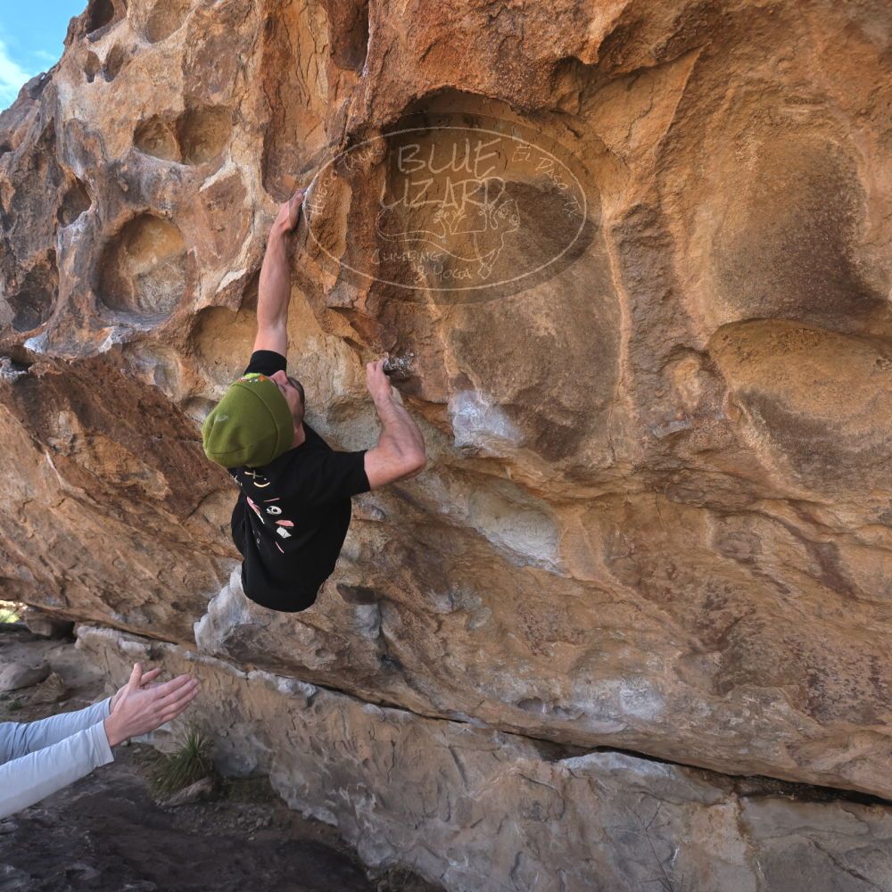 

Filename: SRM_20260307_1024460.jpg
Aperture: f/5.6
Shutter Speed: 1/500
Body: Canon EOS R6
Lens: Canon EF 16-35mm f/2.8 L