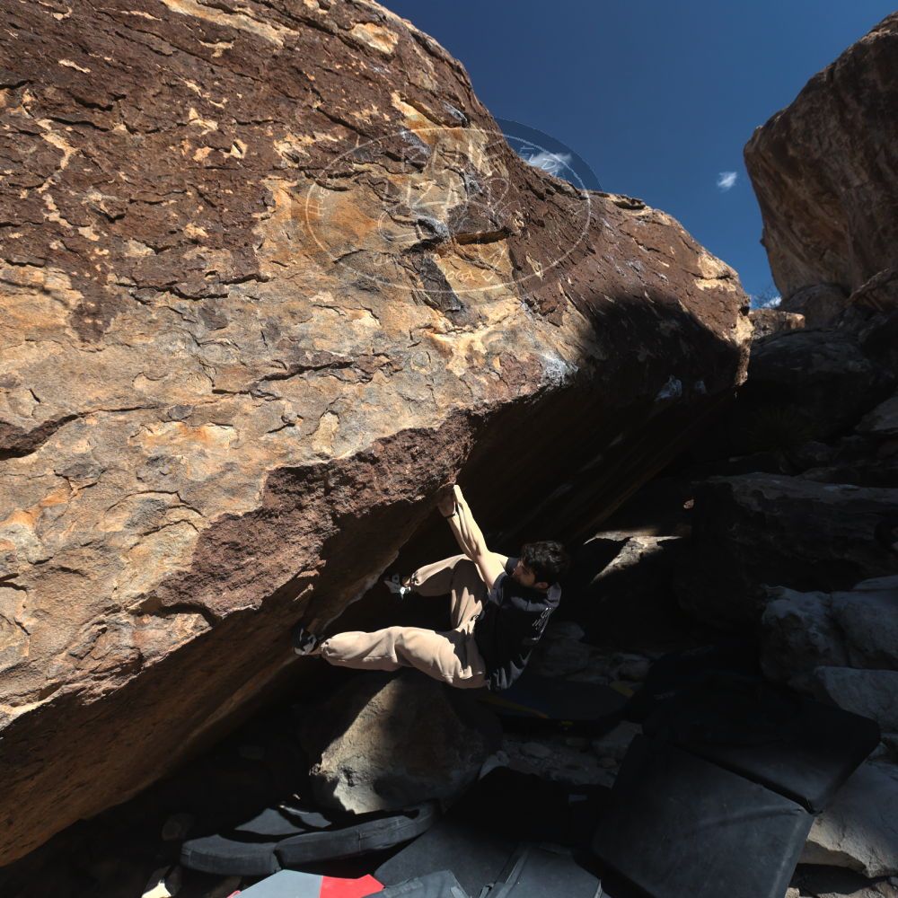 

Filename: SRM_20260307_1102340.jpg
Aperture: f/5.6
Shutter Speed: 1/500
Body: Canon EOS R6
Lens: Canon EF 16-35mm f/2.8 L