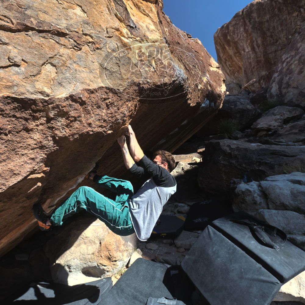 

Filename: SRM_20260307_1107050.jpg
Aperture: f/5.6
Shutter Speed: 1/500
Body: Canon EOS R6
Lens: Canon EF 16-35mm f/2.8 L