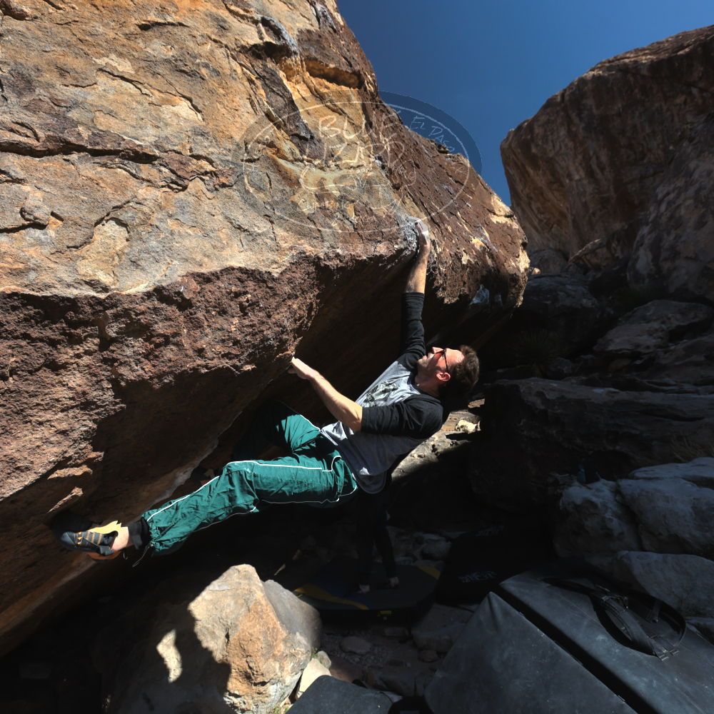 

Filename: SRM_20260307_1107090.jpg
Aperture: f/5.6
Shutter Speed: 1/500
Body: Canon EOS R6
Lens: Canon EF 16-35mm f/2.8 L