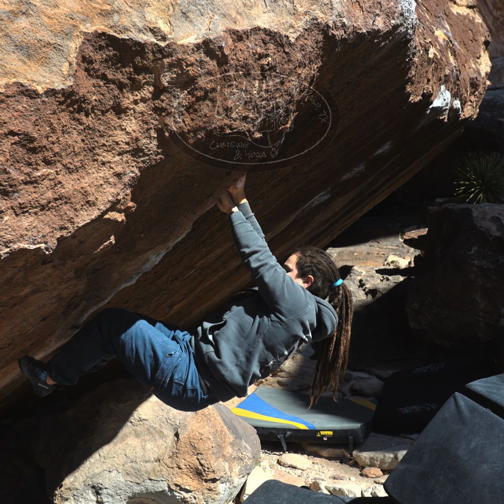 

Filename: SRM_20260307_1110470.jpg
Aperture: f/5.6
Shutter Speed: 1/500
Body: Canon EOS R6
Lens: Canon EF 16-35mm f/2.8 L