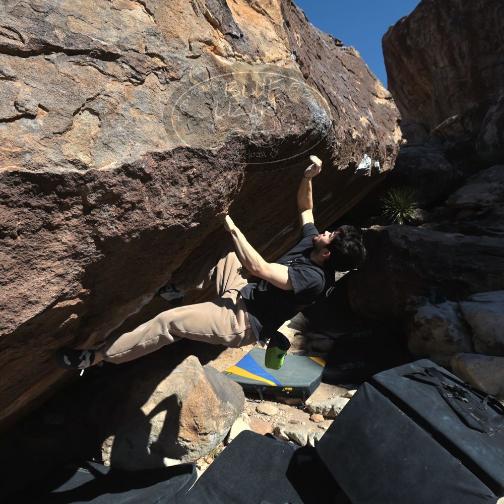 

Filename: SRM_20260307_1113360.jpg
Aperture: f/5.6
Shutter Speed: 1/500
Body: Canon EOS R6
Lens: Canon EF 16-35mm f/2.8 L