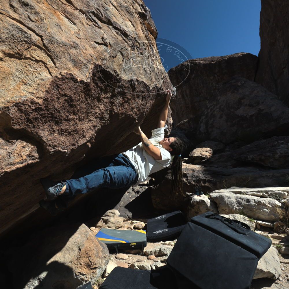 

Filename: SRM_20260307_1120510.jpg
Aperture: f/5.6
Shutter Speed: 1/500
Body: Canon EOS R6
Lens: Canon EF 16-35mm f/2.8 L