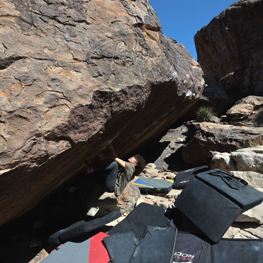 

Filename: SRM_20260307_1129100.jpg
Aperture: f/5.6
Shutter Speed: 1/500
Body: Canon EOS R6
Lens: Canon EF 16-35mm f/2.8 L