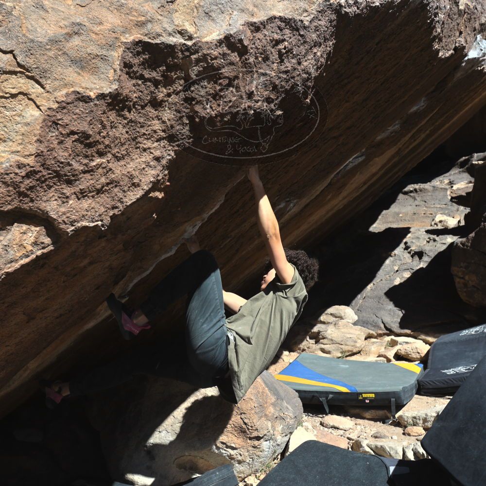 

Filename: SRM_20260307_1129110.jpg
Aperture: f/5.6
Shutter Speed: 1/500
Body: Canon EOS R6
Lens: Canon EF 16-35mm f/2.8 L