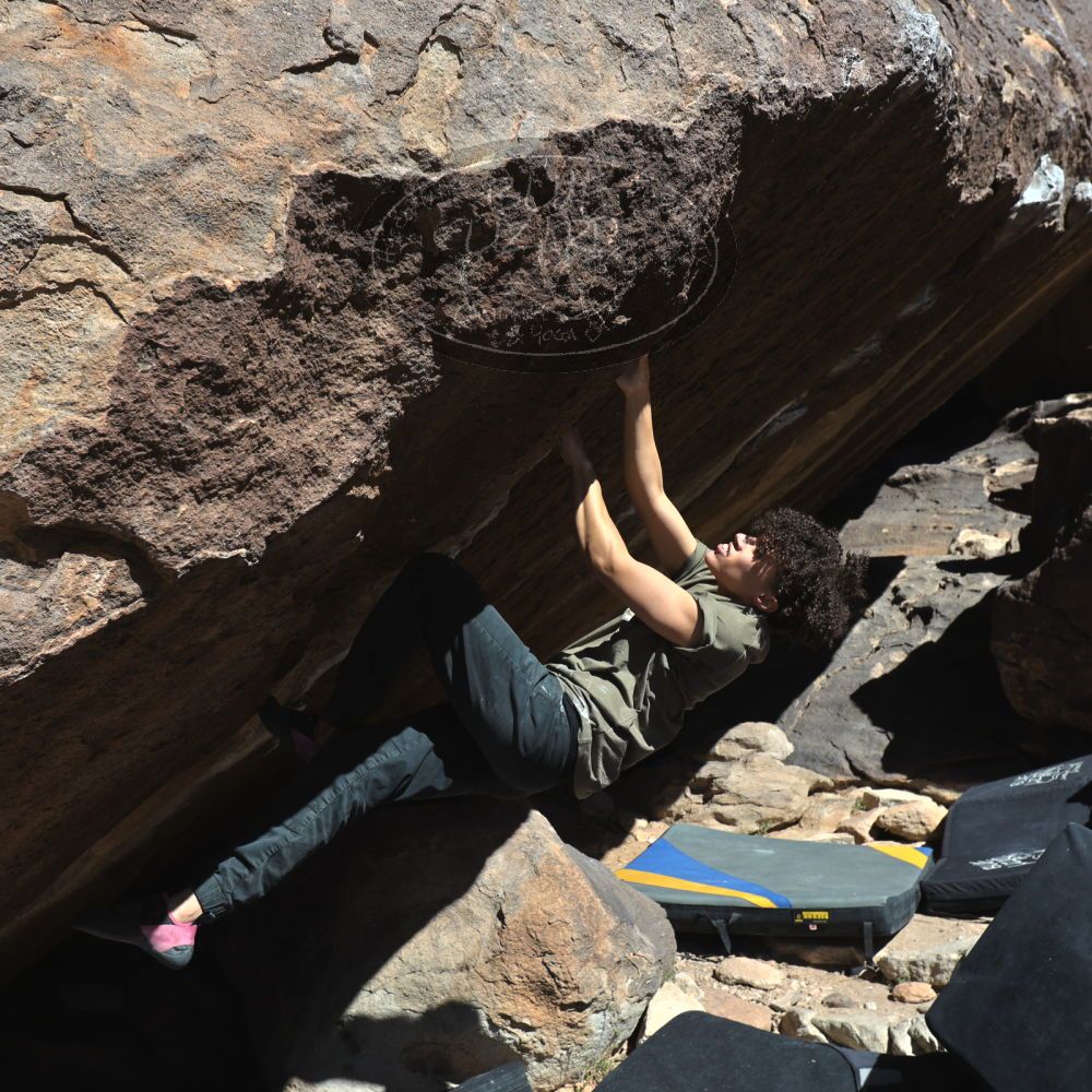 

Filename: SRM_20260307_1129130.jpg
Aperture: f/5.6
Shutter Speed: 1/500
Body: Canon EOS R6
Lens: Canon EF 16-35mm f/2.8 L