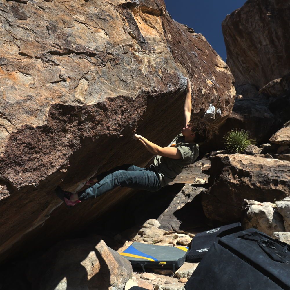 

Filename: SRM_20260307_1129210.jpg
Aperture: f/5.6
Shutter Speed: 1/500
Body: Canon EOS R6
Lens: Canon EF 16-35mm f/2.8 L