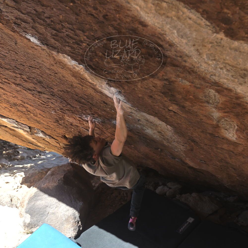 

Filename: SRM_20260307_1147480.jpg
Aperture: f/5.6
Shutter Speed: 1/500
Body: Canon EOS R6
Lens: Canon EF 16-35mm f/2.8 L