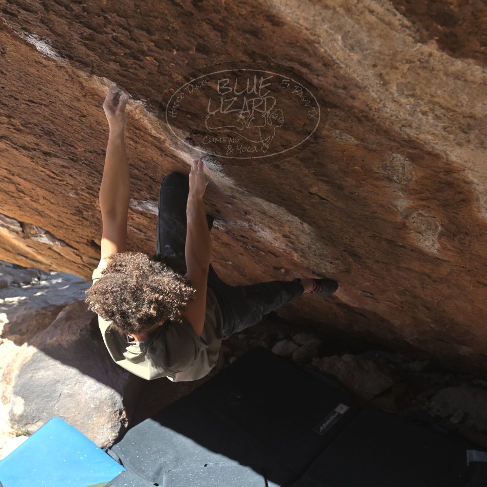 

Filename: SRM_20260307_1149280.jpg
Aperture: f/5.6
Shutter Speed: 1/500
Body: Canon EOS R6
Lens: Canon EF 16-35mm f/2.8 L