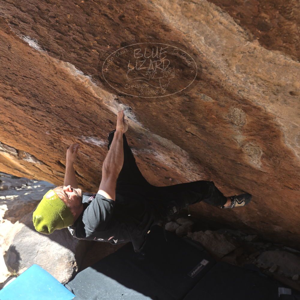 

Filename: SRM_20260307_1150180.jpg
Aperture: f/5.6
Shutter Speed: 1/500
Body: Canon EOS R6
Lens: Canon EF 16-35mm f/2.8 L