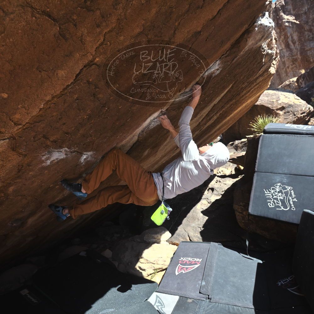 

Filename: SRM_20260307_1153200.jpg
Aperture: f/5.6
Shutter Speed: 1/500
Body: Canon EOS R6
Lens: Canon EF 16-35mm f/2.8 L