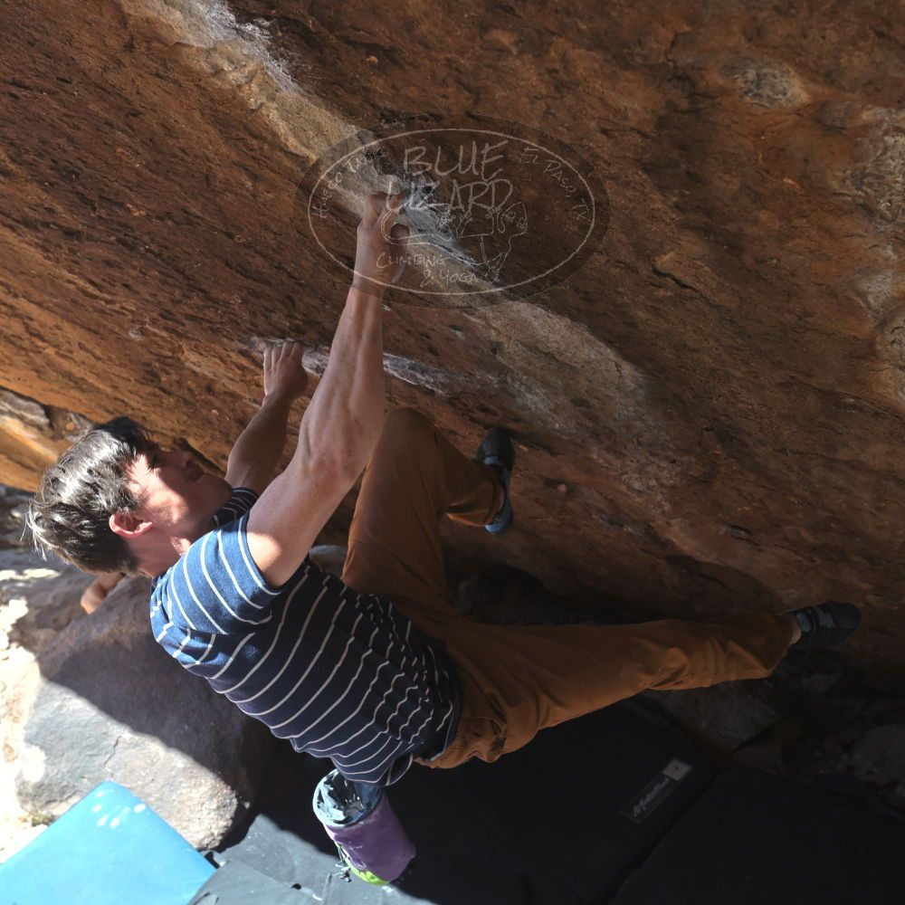 

Filename: SRM_20260307_1202310.jpg
Aperture: f/5.6
Shutter Speed: 1/500
Body: Canon EOS R6
Lens: Canon EF 16-35mm f/2.8 L