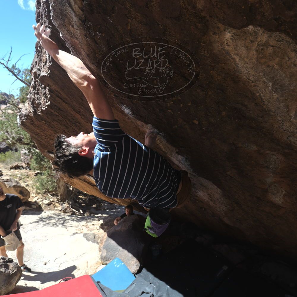 

Filename: SRM_20260307_1202390.jpg
Aperture: f/5.6
Shutter Speed: 1/500
Body: Canon EOS R6
Lens: Canon EF 16-35mm f/2.8 L