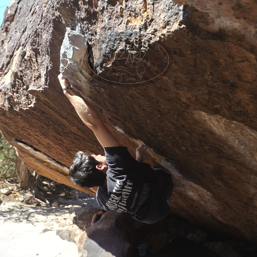 

Filename: SRM_20260307_1204581.jpg
Aperture: f/5.6
Shutter Speed: 1/500
Body: Canon EOS R6
Lens: Canon EF 16-35mm f/2.8 L