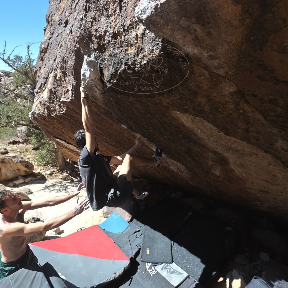 

Filename: SRM_20260307_1205000.jpg
Aperture: f/5.6
Shutter Speed: 1/500
Body: Canon EOS R6
Lens: Canon EF 16-35mm f/2.8 L