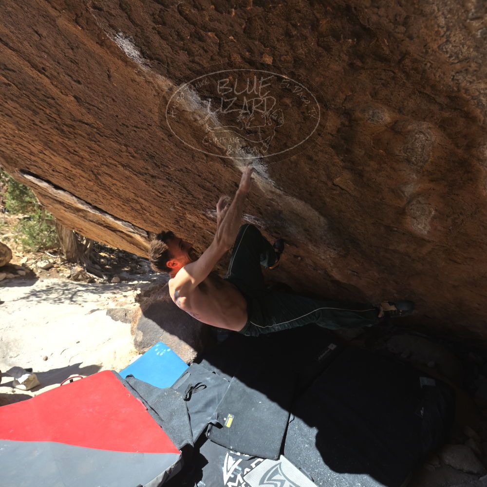 

Filename: SRM_20260307_1207390.jpg
Aperture: f/5.6
Shutter Speed: 1/500
Body: Canon EOS R6
Lens: Canon EF 16-35mm f/2.8 L