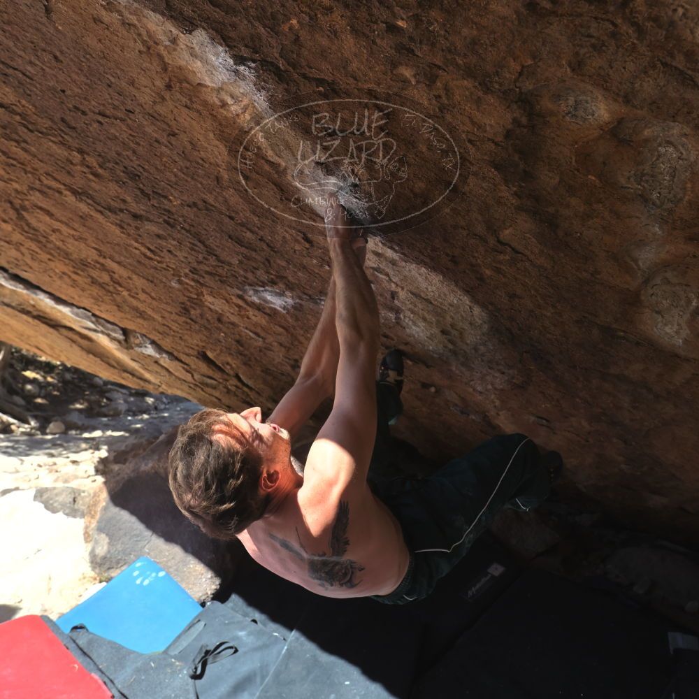 

Filename: SRM_20260307_1207391.jpg
Aperture: f/5.6
Shutter Speed: 1/500
Body: Canon EOS R6
Lens: Canon EF 16-35mm f/2.8 L