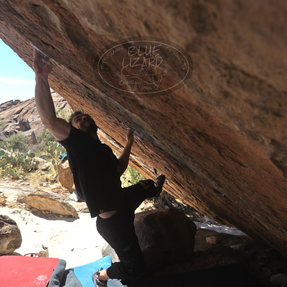 

Filename: SRM_20260307_1214050.jpg
Aperture: f/5.6
Shutter Speed: 1/500
Body: Canon EOS R6
Lens: Canon EF 16-35mm f/2.8 L