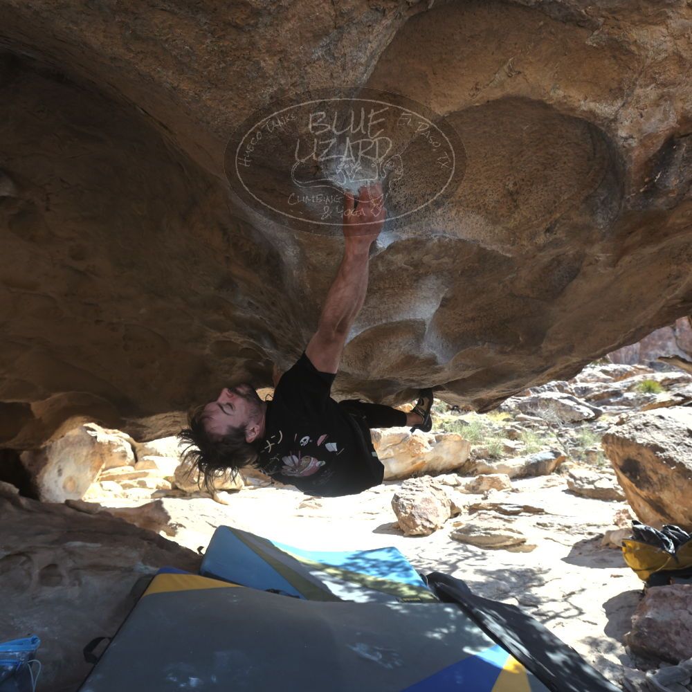 

Filename: SRM_20260307_1239270.jpg
Aperture: f/5.6
Shutter Speed: 1/500
Body: Canon EOS R6
Lens: Canon EF 16-35mm f/2.8 L