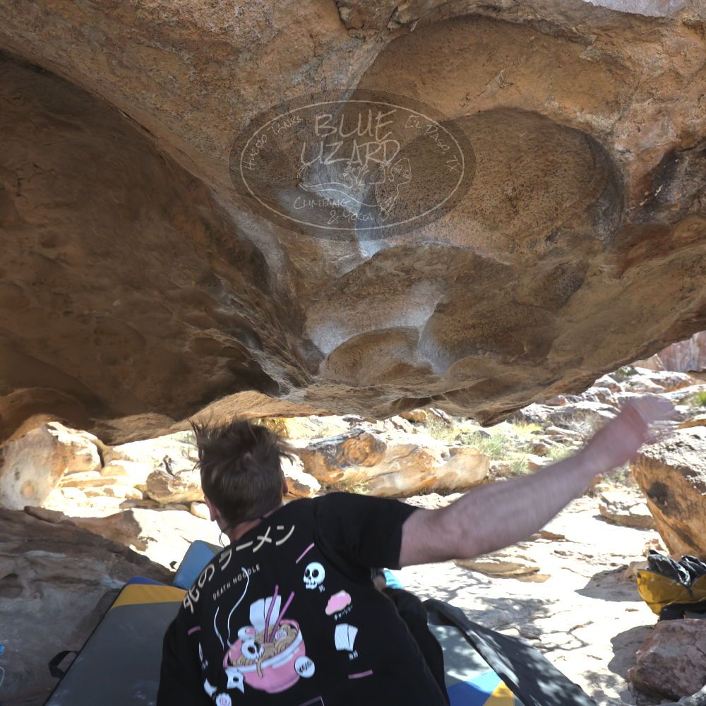 

Filename: SRM_20260307_1240400.jpg
Aperture: f/5.6
Shutter Speed: 1/500
Body: Canon EOS R6
Lens: Canon EF 16-35mm f/2.8 L