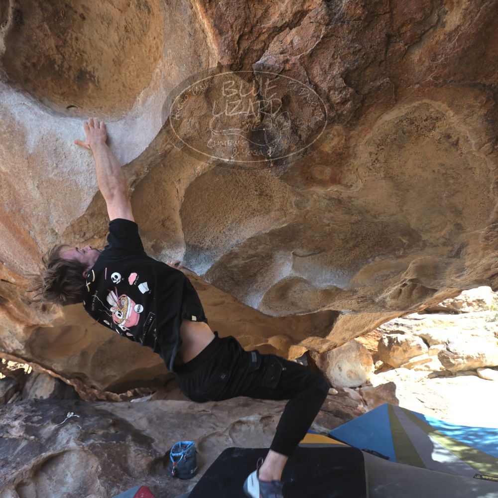 

Filename: SRM_20260307_1252540.jpg
Aperture: f/5.0
Shutter Speed: 1/500
Body: Canon EOS R6
Lens: Canon EF 16-35mm f/2.8 L