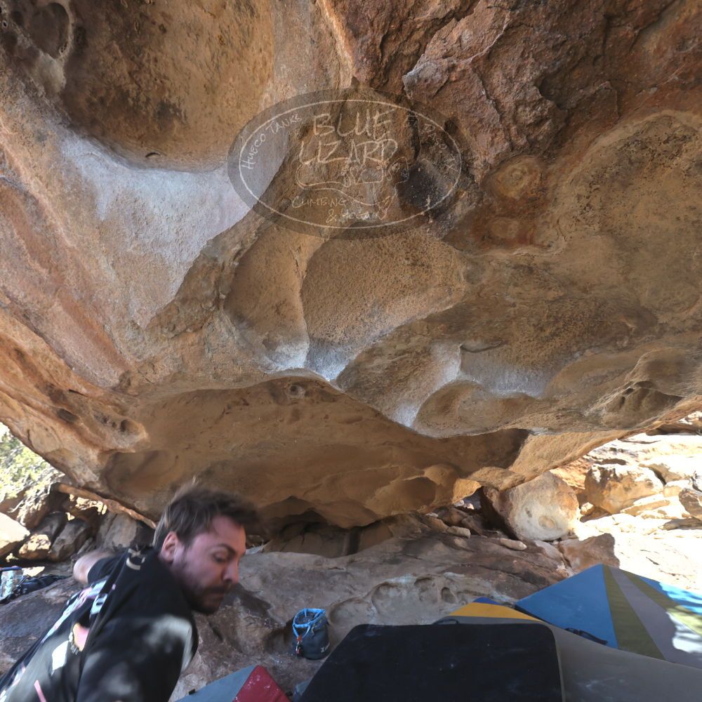 

Filename: SRM_20260307_1252550.jpg
Aperture: f/5.0
Shutter Speed: 1/500
Body: Canon EOS R6
Lens: Canon EF 16-35mm f/2.8 L