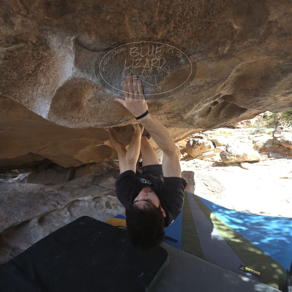 

Filename: SRM_20260307_1301041.jpg
Aperture: f/5.0
Shutter Speed: 1/500
Body: Canon EOS R6
Lens: Canon EF 16-35mm f/2.8 L