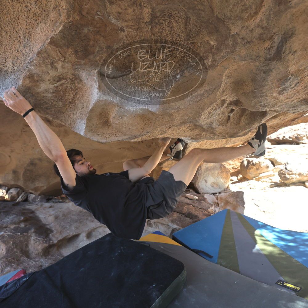 

Filename: SRM_20260307_1303511.jpg
Aperture: f/5.0
Shutter Speed: 1/500
Body: Canon EOS R6
Lens: Canon EF 16-35mm f/2.8 L