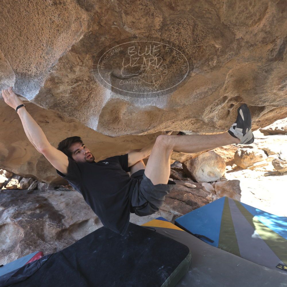 

Filename: SRM_20260307_1303550.jpg
Aperture: f/5.0
Shutter Speed: 1/500
Body: Canon EOS R6
Lens: Canon EF 16-35mm f/2.8 L