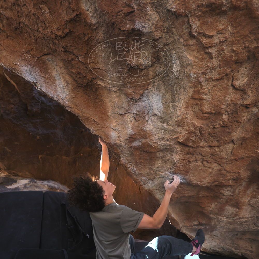 

Filename: SRM_20260307_1331290.jpg
Aperture: f/4.0
Shutter Speed: 1/400
Body: Canon EOS R6
Lens: Canon EF 16-35mm f/2.8 L