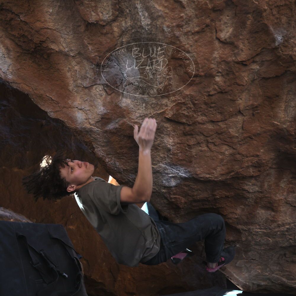 

Filename: SRM_20260307_1341440.jpg
Aperture: f/4.0
Shutter Speed: 1/400
Body: Canon EOS R6
Lens: Canon EF 16-35mm f/2.8 L