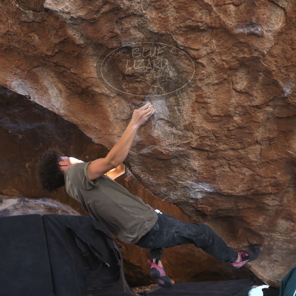 

Filename: SRM_20260307_1345590.jpg
Aperture: f/4.0
Shutter Speed: 1/400
Body: Canon EOS R6
Lens: Canon EF 16-35mm f/2.8 L