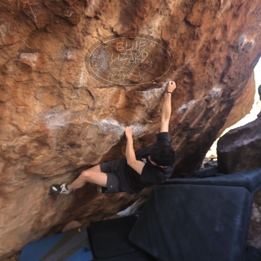 

Filename: SRM_20260307_1359430.jpg
Aperture: f/4.0
Shutter Speed: 1/400
Body: Canon EOS R6
Lens: Canon EF 16-35mm f/2.8 L