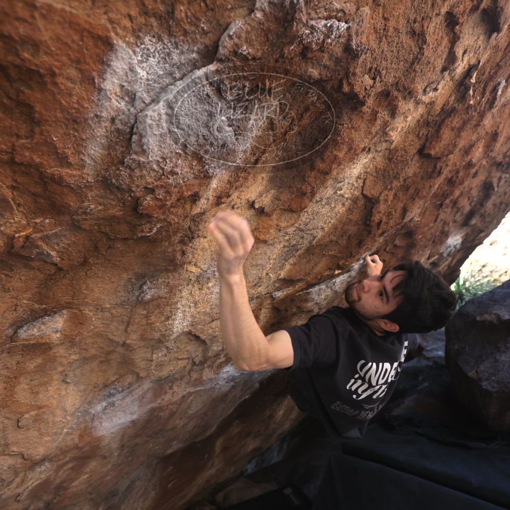 

Filename: SRM_20260307_1359500.jpg
Aperture: f/4.0
Shutter Speed: 1/400
Body: Canon EOS R6
Lens: Canon EF 16-35mm f/2.8 L