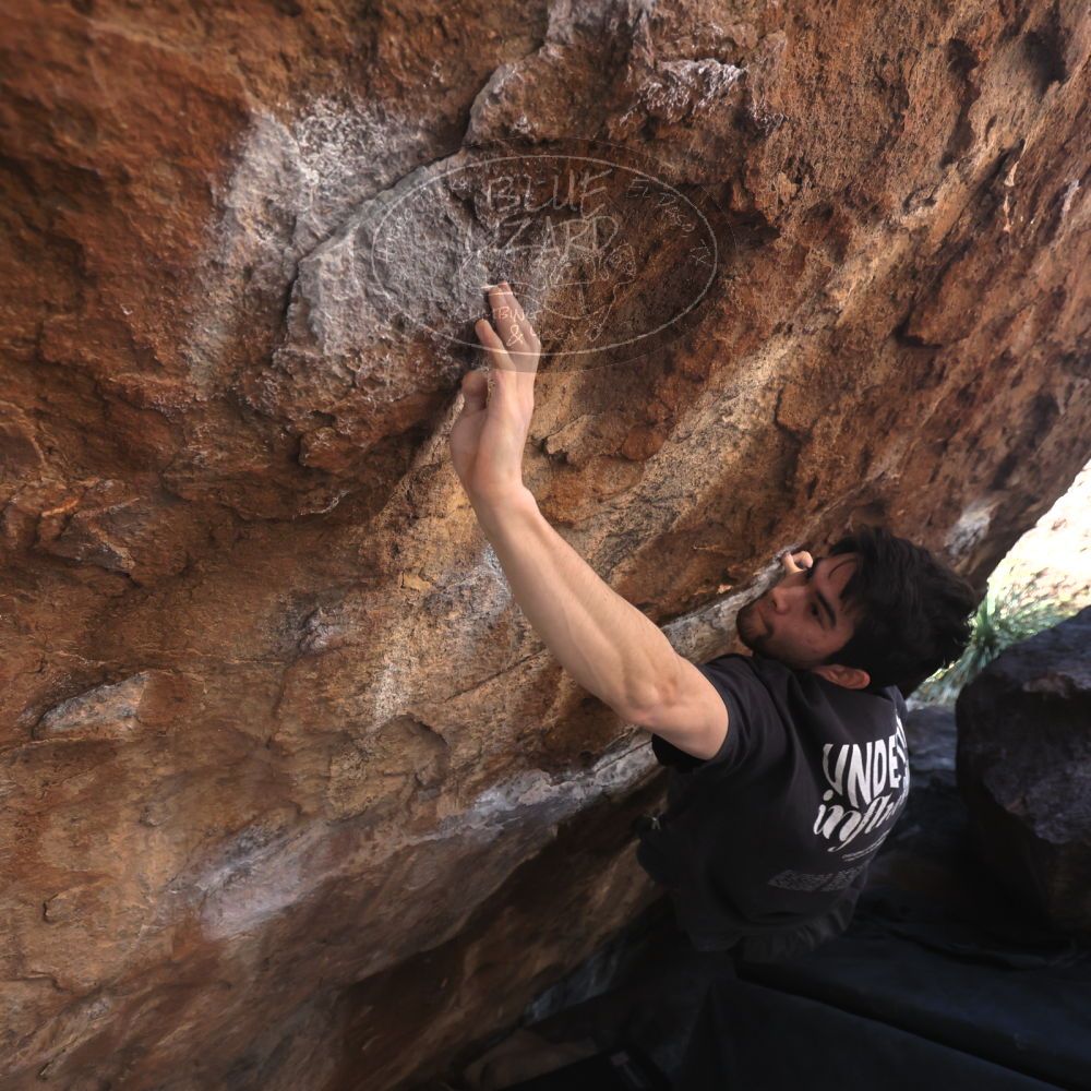 

Filename: SRM_20260307_1359501.jpg
Aperture: f/4.0
Shutter Speed: 1/400
Body: Canon EOS R6
Lens: Canon EF 16-35mm f/2.8 L