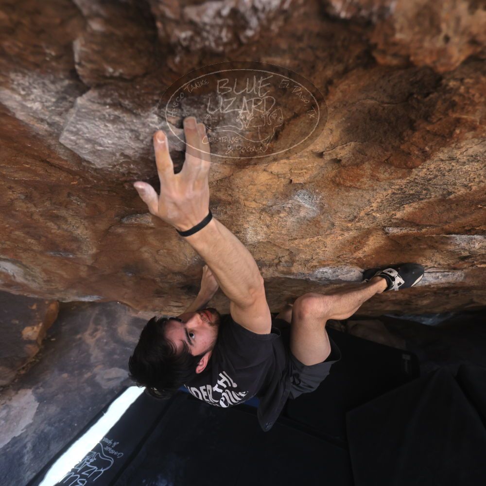 

Filename: SRM_20260307_1407300.jpg
Aperture: f/4.0
Shutter Speed: 1/400
Body: Canon EOS R6
Lens: Canon EF 16-35mm f/2.8 L