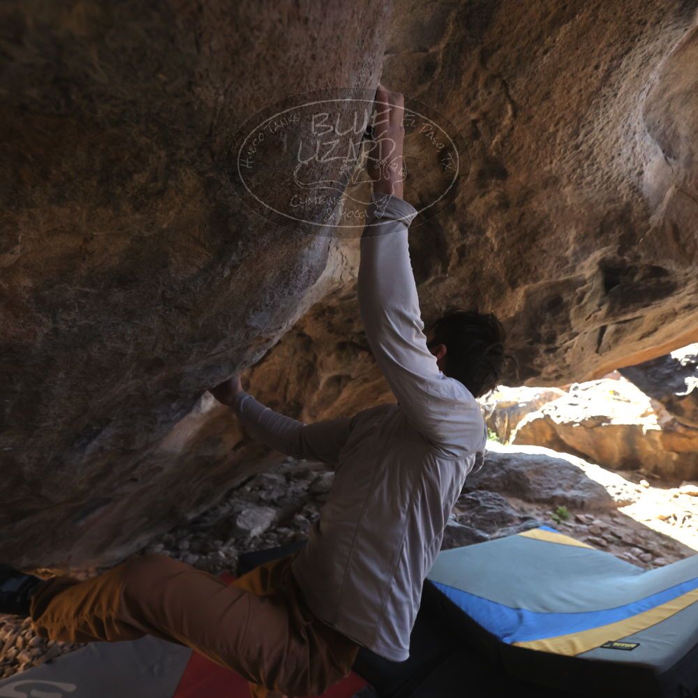 

Filename: SRM_20260307_1506170.jpg
Aperture: f/4.0
Shutter Speed: 1/400
Body: Canon EOS R6
Lens: Canon EF 16-35mm f/2.8 L