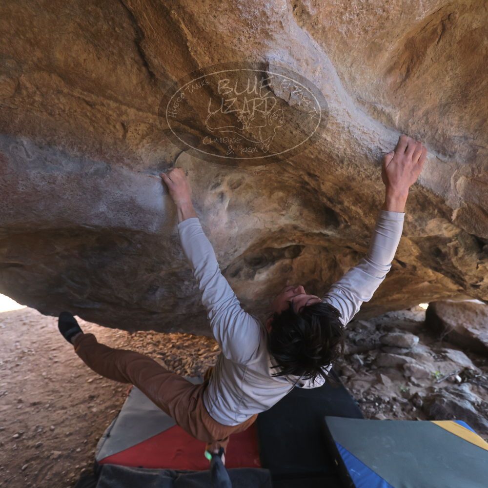 

Filename: SRM_20260307_1517480.jpg
Aperture: f/4.0
Shutter Speed: 1/400
Body: Canon EOS R6
Lens: Canon EF 16-35mm f/2.8 L