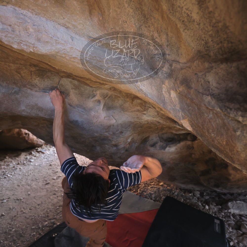 

Filename: SRM_20260307_1521480.jpg
Aperture: f/4.0
Shutter Speed: 1/400
Body: Canon EOS R6
Lens: Canon EF 16-35mm f/2.8 L