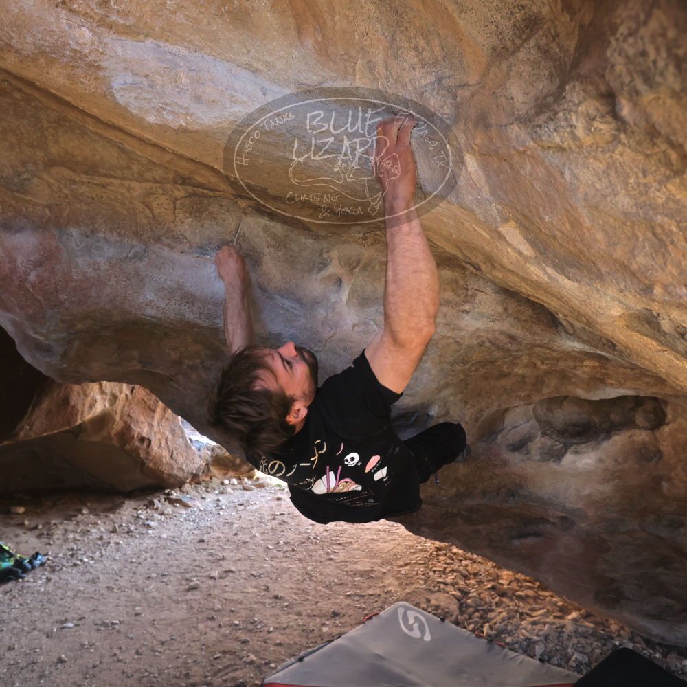 

Filename: SRM_20260307_1527381.jpg
Aperture: f/5.6
Shutter Speed: 1/400
Body: Canon EOS R6
Lens: Canon EF 16-35mm f/2.8 L