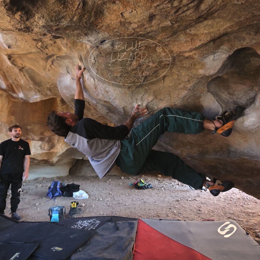 

Filename: SRM_20260307_1528330.jpg
Aperture: f/5.6
Shutter Speed: 1/400
Body: Canon EOS R6
Lens: Canon EF 16-35mm f/2.8 L