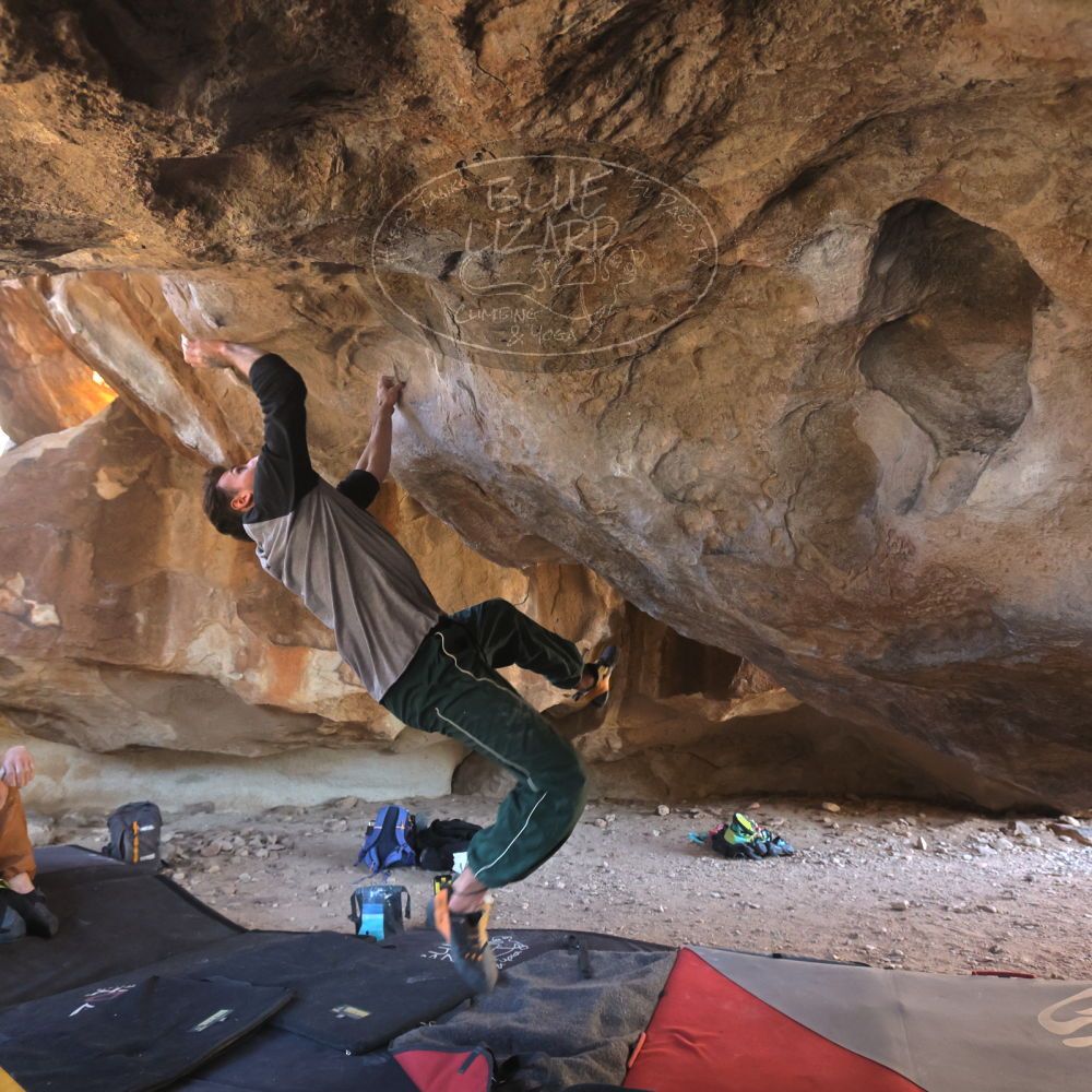 

Filename: SRM_20260307_1529121.jpg
Aperture: f/5.6
Shutter Speed: 1/400
Body: Canon EOS R6
Lens: Canon EF 16-35mm f/2.8 L