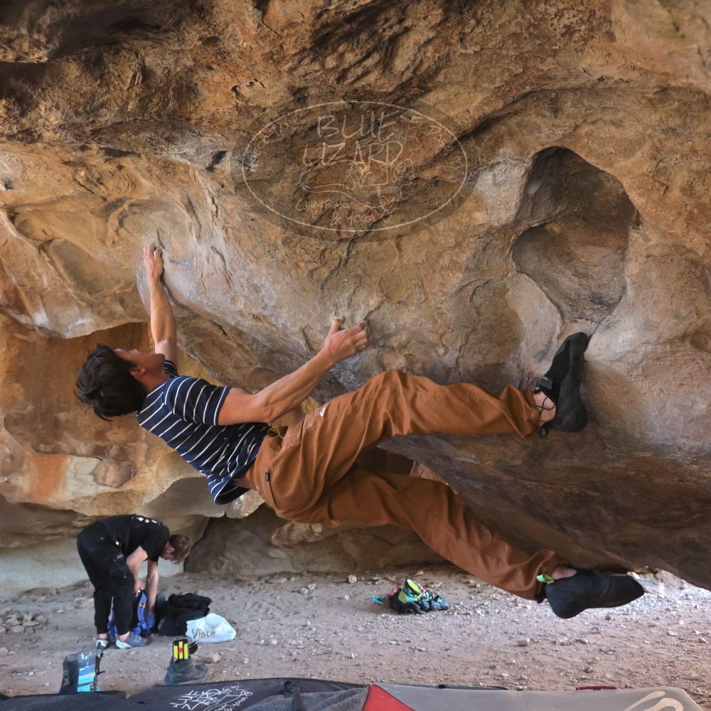 

Filename: SRM_20260307_1530330.jpg
Aperture: f/5.6
Shutter Speed: 1/400
Body: Canon EOS R6
Lens: Canon EF 16-35mm f/2.8 L